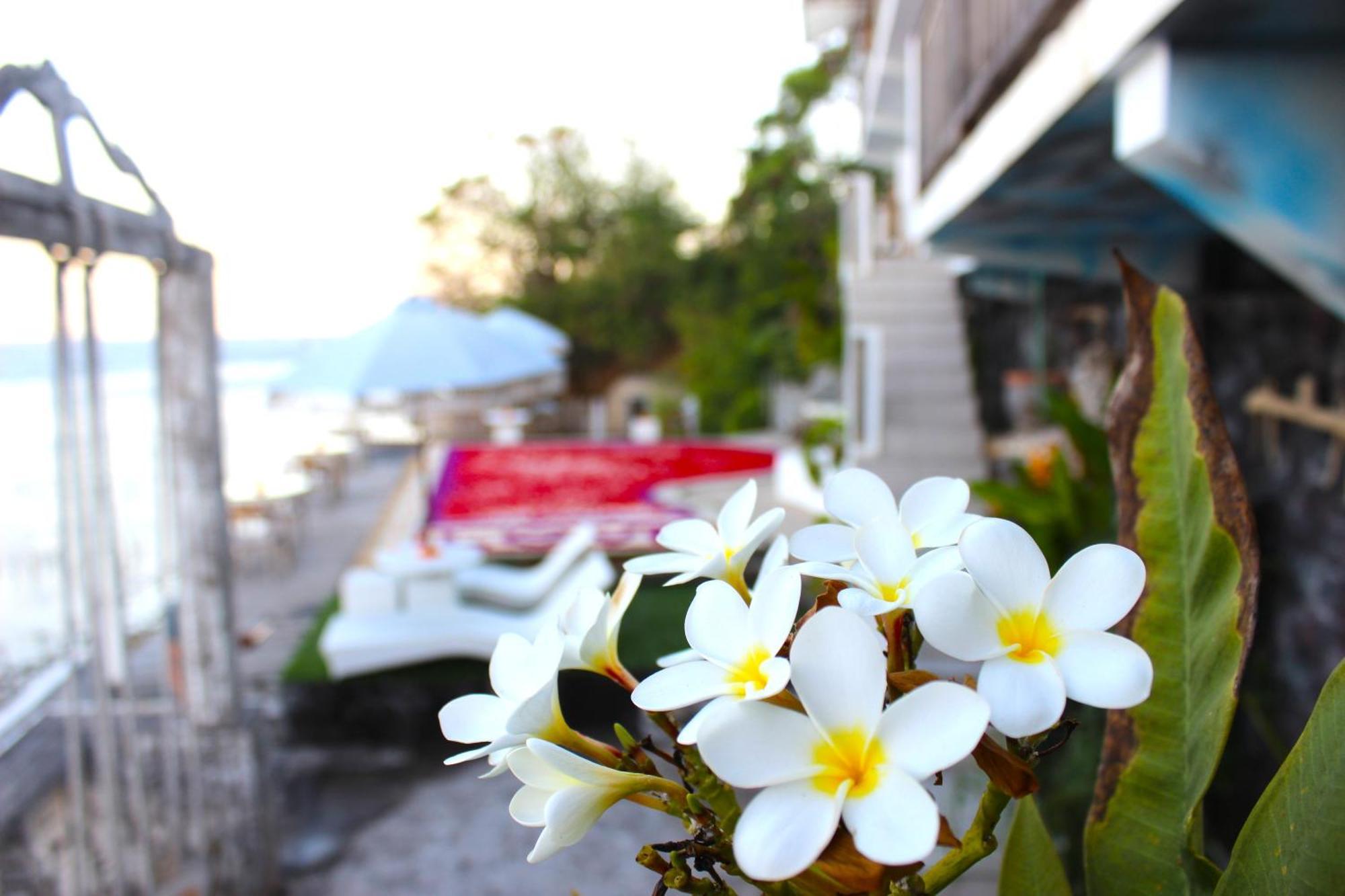 Suite Ocean Blue Batununggul Экстерьер фото